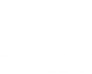 Digital Genuity